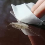 Cum cureți corect găinațul de pasăre de pe mașină BYD