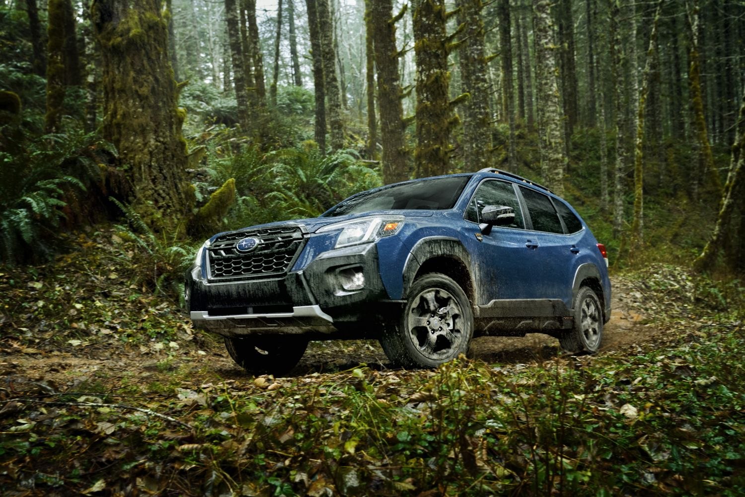 Subaru Forester Pareri (2021 - prezent) Lexus