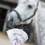 Ce inseamna cai fiscali sau puterea fiscala? TOP 10