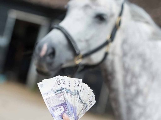 Ce inseamna cai fiscali sau puterea fiscala?